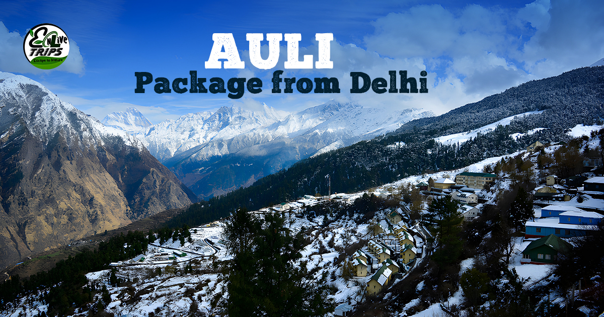 Auli packages from Delhi